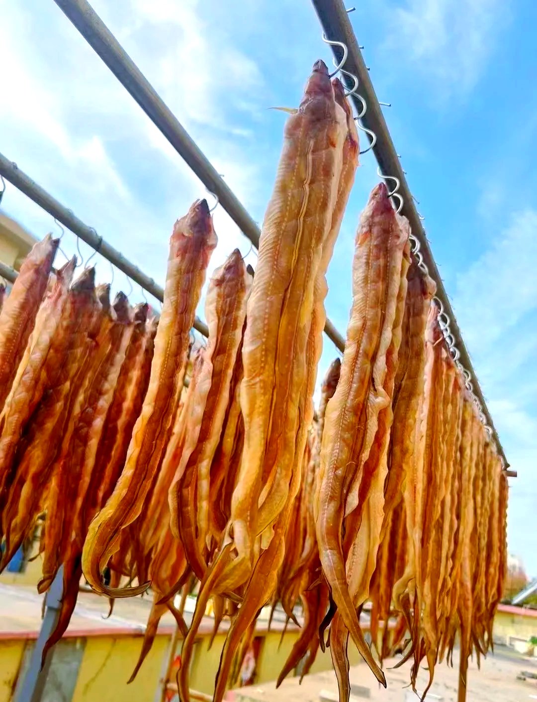 Mountain-Sea Produce