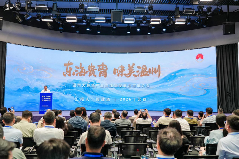 温州大黄鱼的“四个好”:从东海之滨,游进北京城